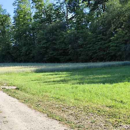 Holiday home Pod Skarpa 27 Zator