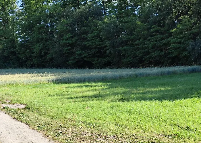 別荘 Pod Skarpa 27 ザトル